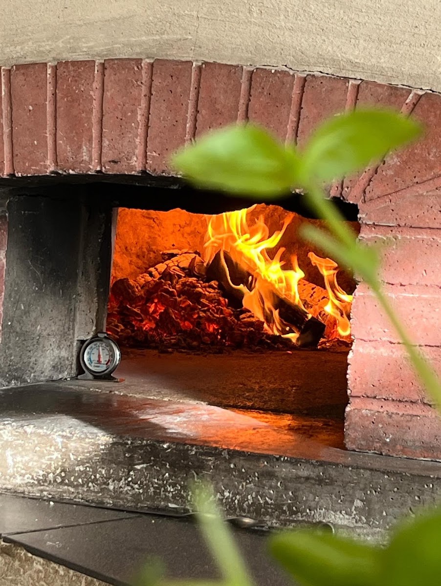 Pizza Haus - traditioneller Holzofen